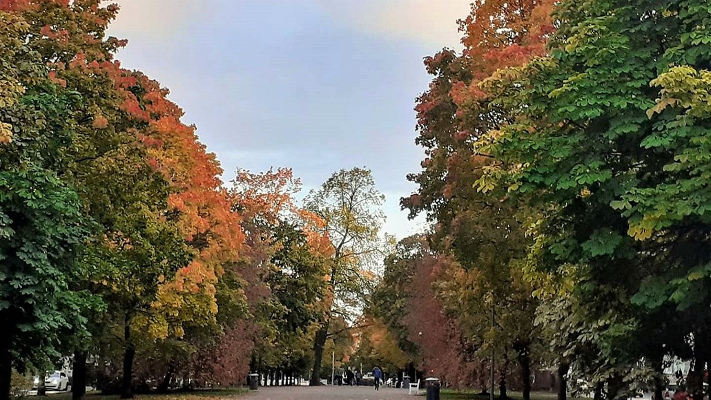 Barvy finského podzimu