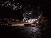 Jeskyn se svítícími ervy, tzv. "Glow worms"