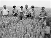 Na snímcích jsou vyobrazeny lidé rzných profesí