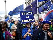 Lidé podporující Evropskou unii pochodují Londýnem v den, kdy má dojí ke...