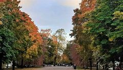 Barvy finského podzimu | na serveru Lidovky.cz | aktuální zprávy