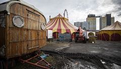 Na Slovensku platí zákaz drezury zvířat v cirkusech. Za porušení hrozí až půlmilionová pokuta