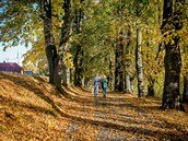 Po 28. íjnu eká esko silné ochlazení.