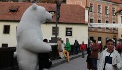 Lední medvědi a další pouliční umělci v kostýmech zvířat mají v Českém Krumlově definitivní zákaz