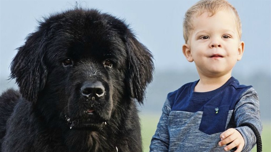 Vztah psa s dítětem může být krásný, ale je třeba oba koordinovat.