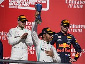 Lewis Hamilton slaví estý tiul