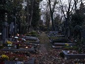 Hbitov Malvazinky na Smíchov, kde má být pohben Karel Gott, se pod vrstvami...