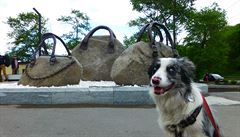 Za takový msíc se rusky dá nauit pomrn obstojn. Na stopu si musí povídat...