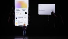 Nová Apple platební karta údajně diskriminuje ženy. | na serveru Lidovky.cz | aktuální zprávy