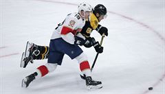 NHL: Pastrňák skóroval po dvou zápasech bez bodu, k vítězství Bostonu to nestačilo