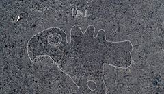 Obrazec na tomto snímku p�ipomíná papou�ka.