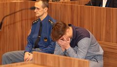 Lobbista Marek Dalík u znojemského soudu.