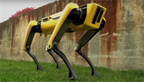 Robotick pes spolenosti Boston Dynamics, kter byl v minulosti podle serveru...