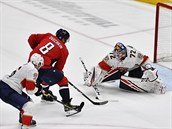 Nov 27, 2019;Washington, DC, USA;Florida Panthers goaltender Sergei Bobrovsky...