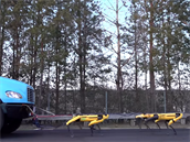 Deset robotických ps táhne nákladní auto, které má zaazeno neutrál.