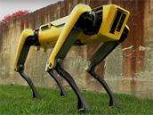 Robotický pes spolenosti Boston Dynamics, který byl v minulosti podle serveru...