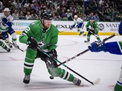 8. Radek Faksa - Dallas Stars zastupuje v nejlepí eské desítce bodování Radek...