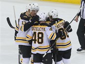 Hokejisté Bostonu Bruins slaví branku.