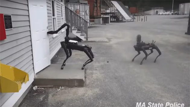 Roboti pipomínající psy, které vyuívá massachusettská policie.