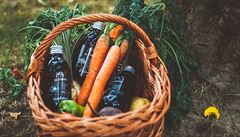 Za studena lisované oleje se, jak ji� plyne z názvu, lisují za nízkých teplot....