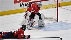 Braden Holtby za�il netradi�ní p�esun do své domoviny. 