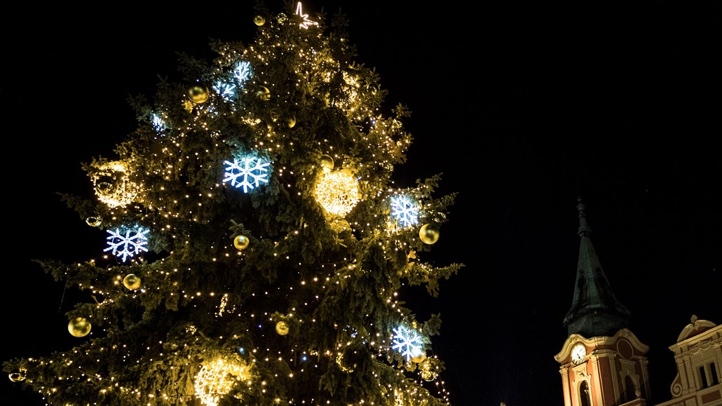 Vánoní strom v Mlníku má luté a modré ozdoby.