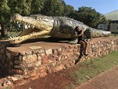 Replika nejvtího zaznamenaného krokodýla na svt. Krokodýl byl zastelen...