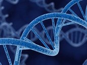 Geny jsou krátké úseky DNA, nesoucí konkrétní informaci pro konstrukci uritého...