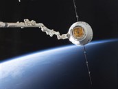 Vesmírná raketa SpaceX Dragon se pipojila na Mezinárodní vesmírnou stanici.