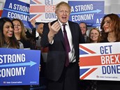Britský premiér Boris Johnson a jeho pedvolební kampa, ve které slibuje, e...