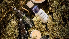 Shora: peeling na t�lo a tvá�, 219 K�; panenský konopný olej, 169 K� / 100 ml;...