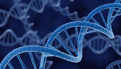 Lidský epigenom je přečtený. Vědci odhalili, která místa v genomu mohou za nemoci