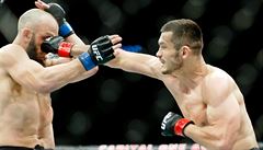 TOP 10 zápasů MMA: Dlouhá válka, rychlý knokaut i ošklivé zranění