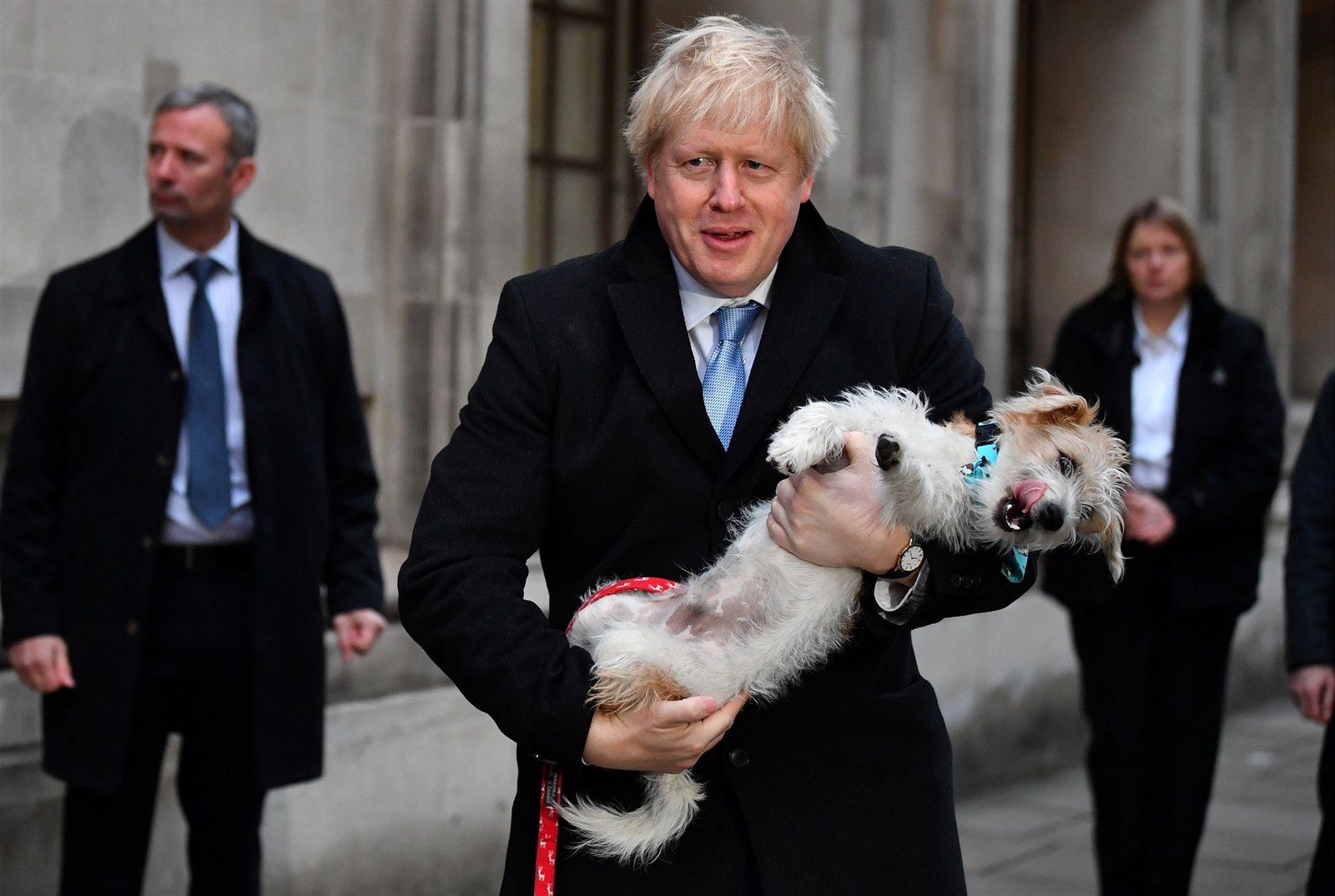 V Británii jsou opět trendem psi u volebních místností. Jejich fotky plní  sociální sítě | Zajímavosti | Lidovky.cz