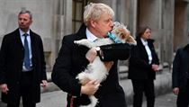 Premiér Johnson si k volbám vzal svého psa.