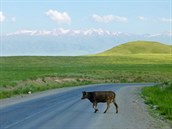 Dobrovolniení v Kyrgyzstánu je za námi, nkterá víza v kapse a je as...