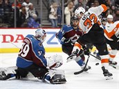 Hrá Philadelphia Flyers David Kae se snaí posunout puk do brány Pavla...
