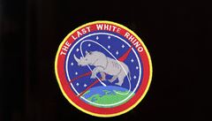 �t�pánka Sigmundová