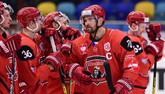 Čeští hokejisté si díky Hradci zahrají po třech letech finále Ligy mistrů