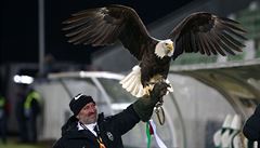 Majitel bulharského fotbalového klubu Ludogorec Razgrad, který od ledna trénuje...