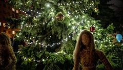 Vánoční stromky jsou rozesety po celém území městské části. Poprvé nechybí ani... | na serveru Lidovky.cz | aktuální zprávy
