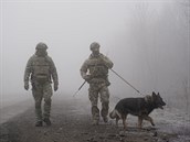 Ukrajintí vojáci hlídají oblast poblí Odradivky.