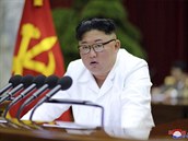 Severokorejský vdce bhem pondlního projevu na sjezdu Korejské strany práce.