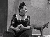 Frida Kahlo - Fotografie.