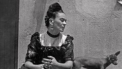 Frida Kahlo - Fotografie. | na serveru Lidovky.cz | aktuální zprávy