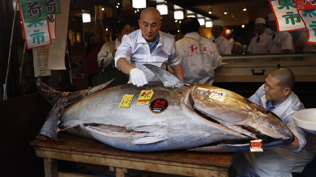 Tuňák se prodal za více než 40 milionů korun.