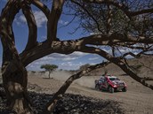 Sportovní obojivelník Nasser Al-Attiyah, který se vnuje aktivn sportovní...