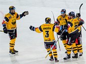 Litvínovtí hokejisté se radují z gólu Richarda Jarka (vlevo).