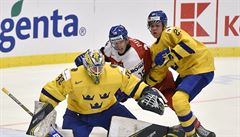 Ond�ej Pavel atakuje �védského gólmana Huga Alnefelta.