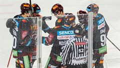 Hokejisté Sparty se radují z vít�zného gólu.